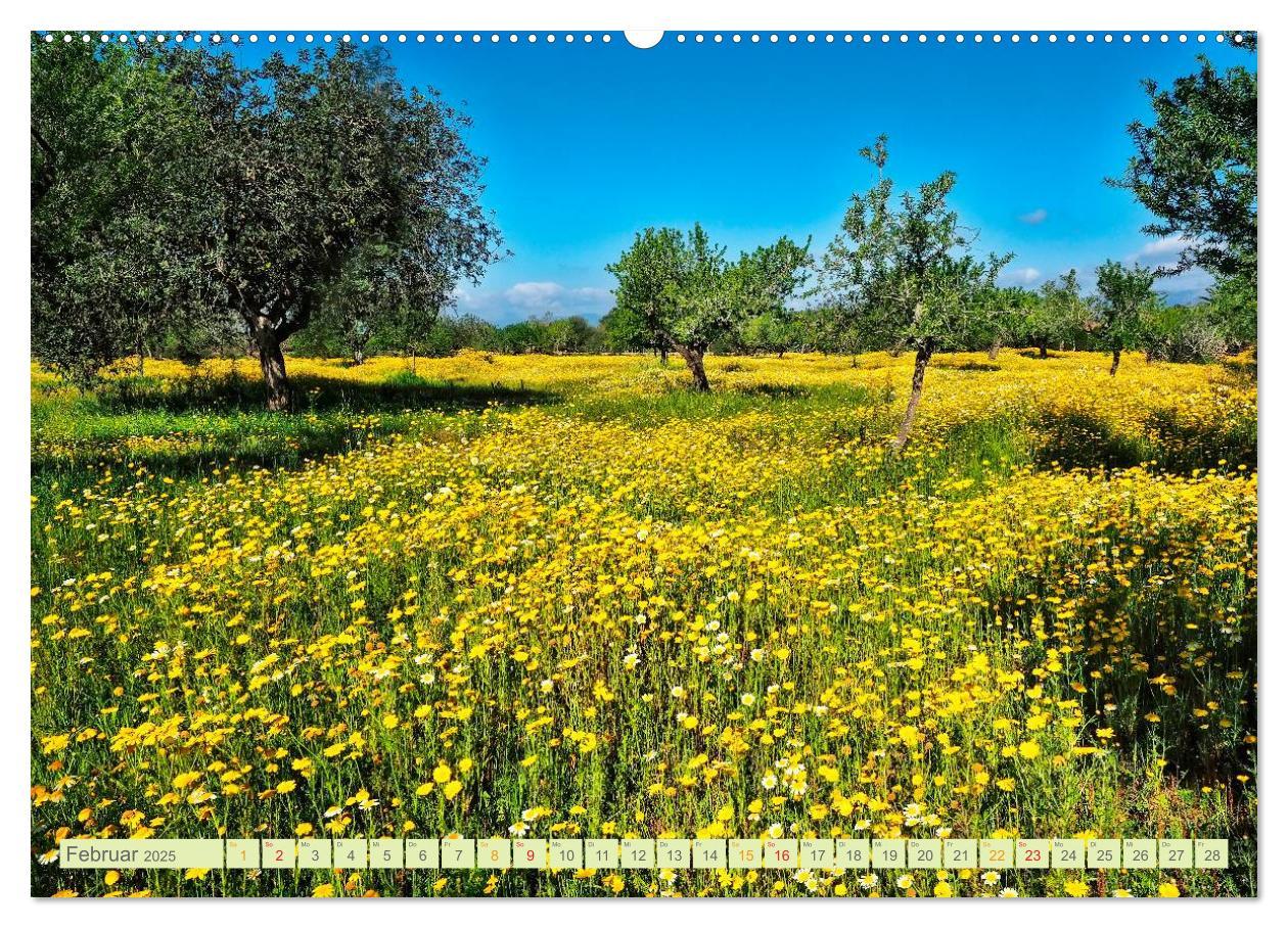 Bild: 9783435473083 | Blumenwiesen ¿ ein blütenzauberhaftes Jahr (Wandkalender 2025 DIN...