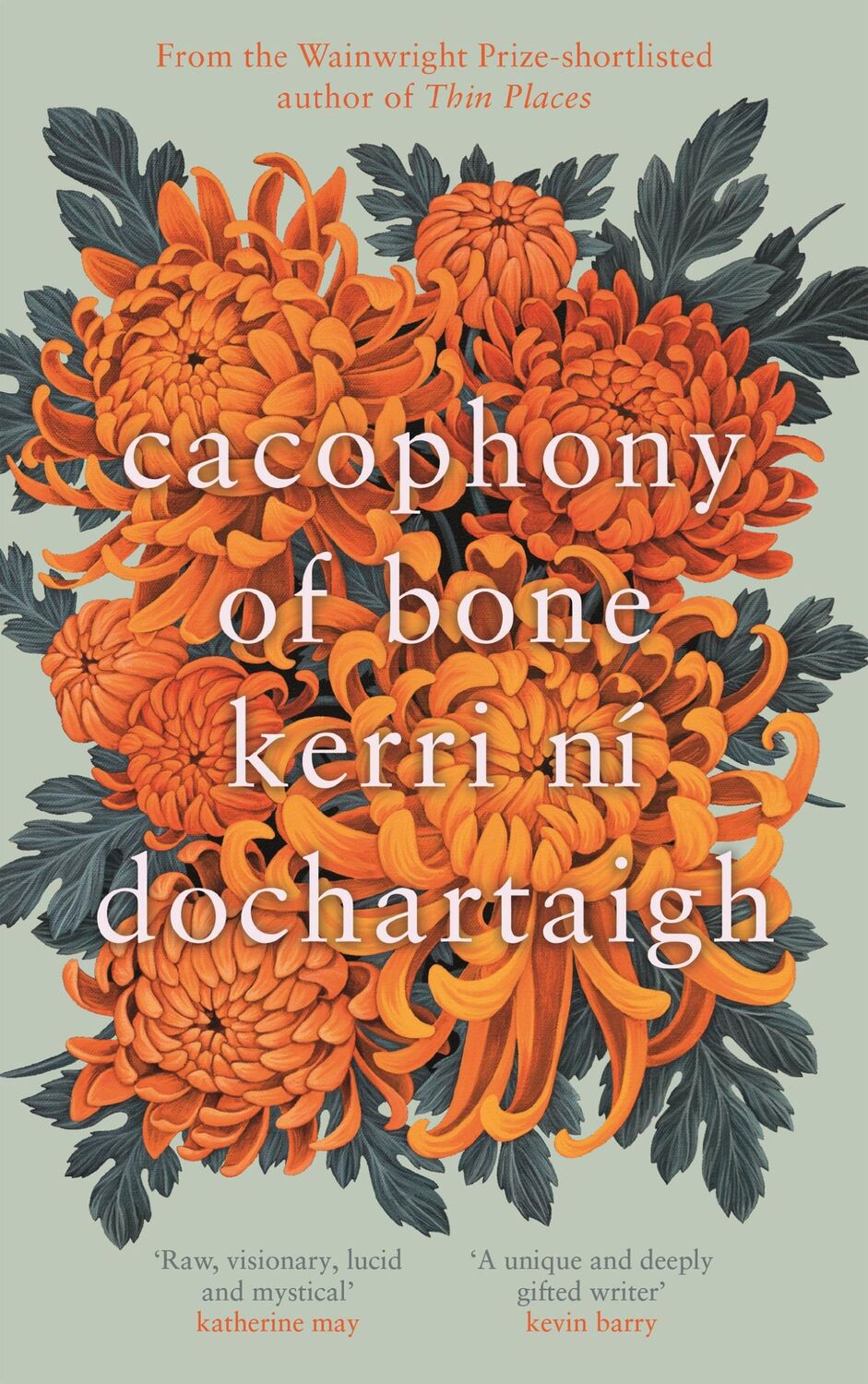 Cover: 9781838856298 | Cacophony of Bone | Kerri ni Dochartaigh | Taschenbuch | Print PDF