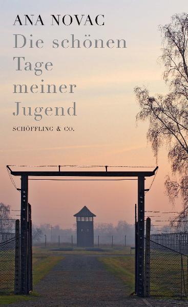 Cover: 9783895614156 | Die schönen Tage meiner Jugend | Ana Novac | Buch | Lesebändchen