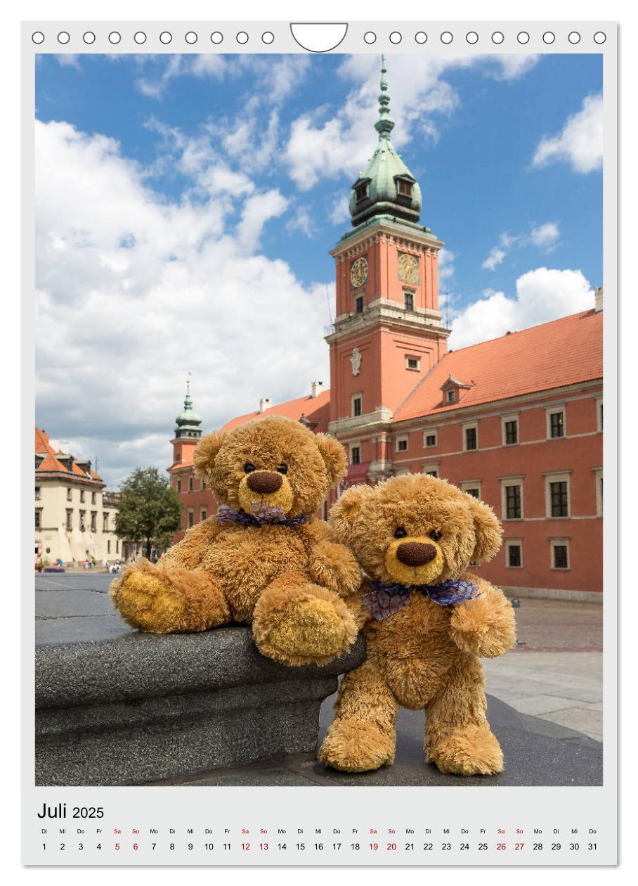 Bild: 9783435985371 | Travelling Teddy in Europa (Wandkalender 2025 DIN A4 hoch),...