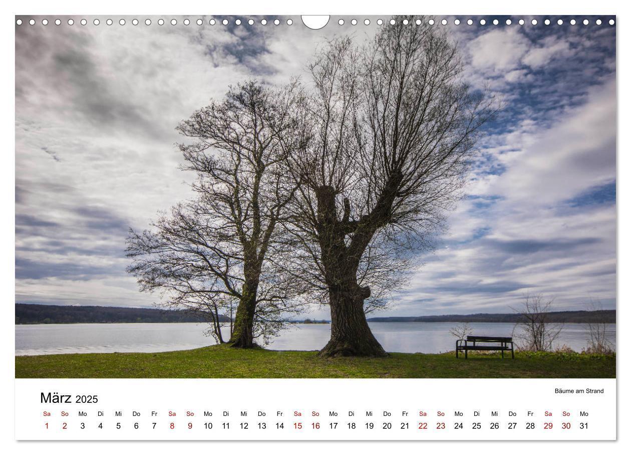 Bild: 9783435453429 | Tollense Landschaften (Wandkalender 2025 DIN A3 quer), CALVENDO...