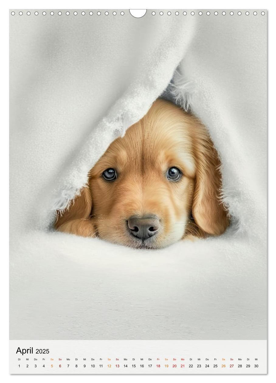 Bild: 9783435880799 | Golden Retriever - ein Hund für die Familie (Wandkalender 2025 DIN...