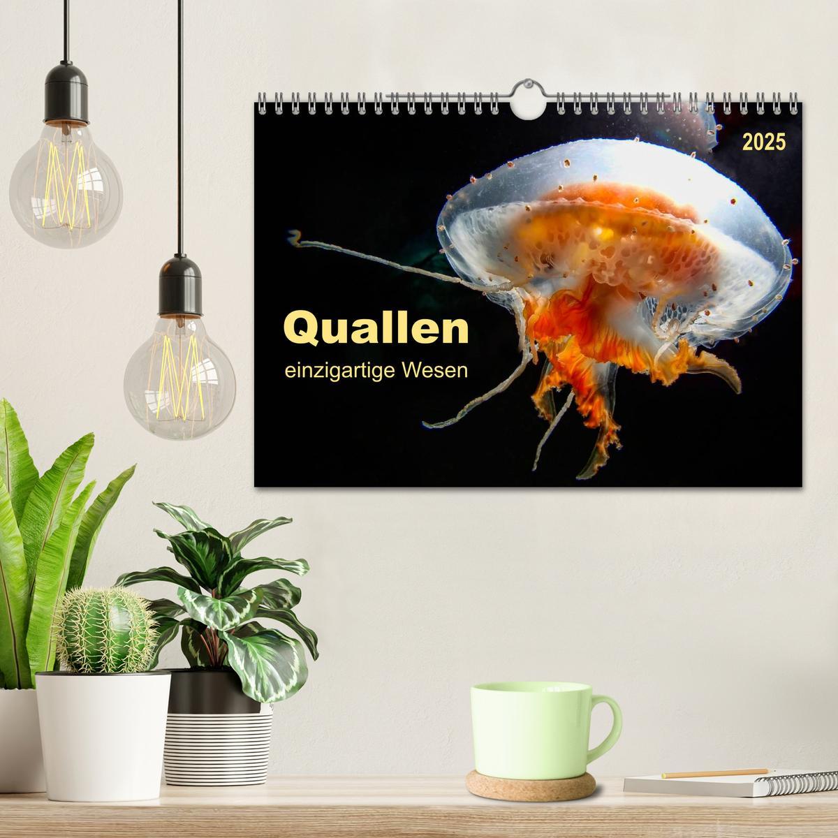 Bild: 9783435585212 | Quallen - einzigartige Wesen (Wandkalender 2025 DIN A4 quer),...