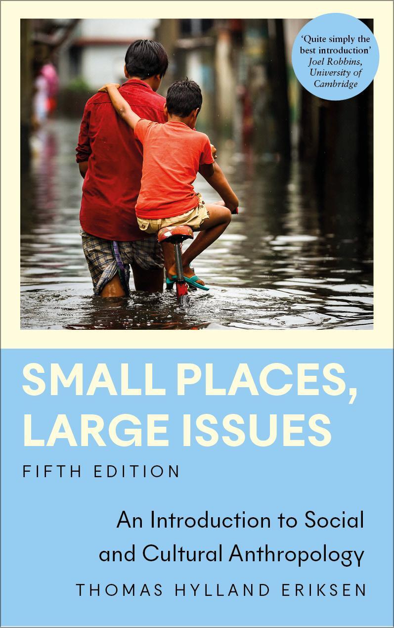 Cover: 9780745348193 | Small Places, Large Issues | Thomas Hylland Eriksen | Taschenbuch