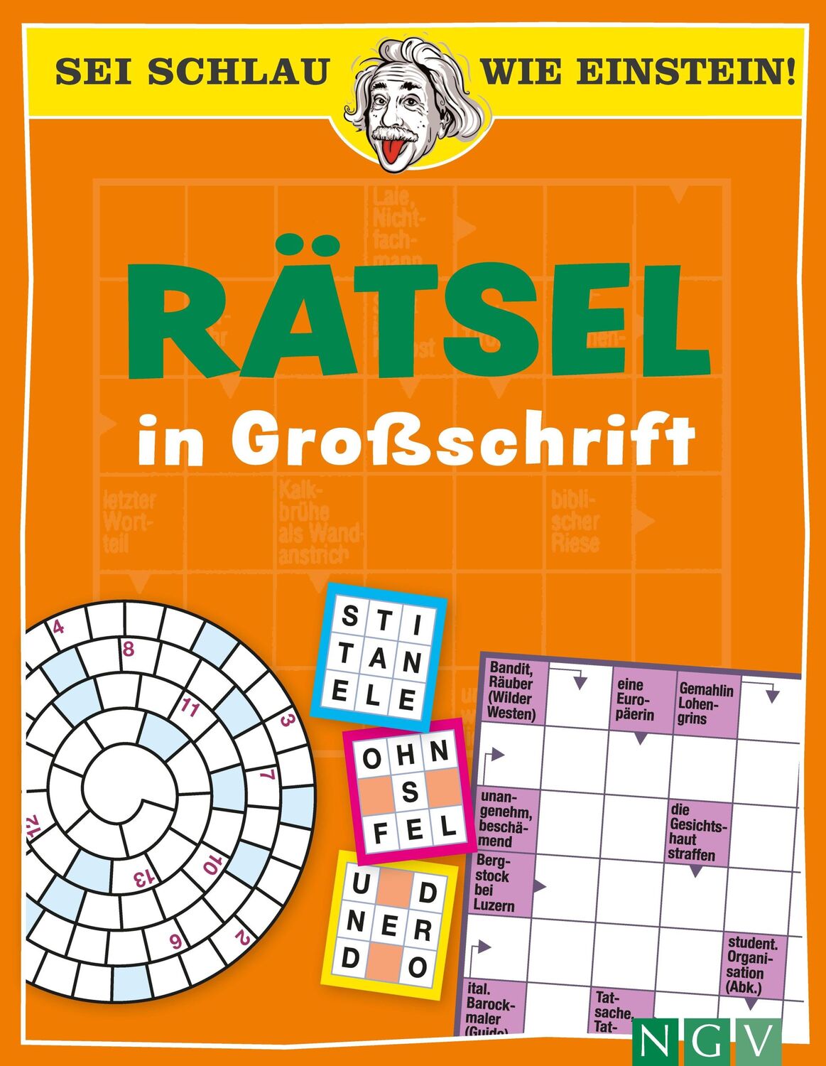 Cover: 9783625191636 | Sei schlau wie Einstein! - Rätsel in Großschrift | Taschenbuch | 2022