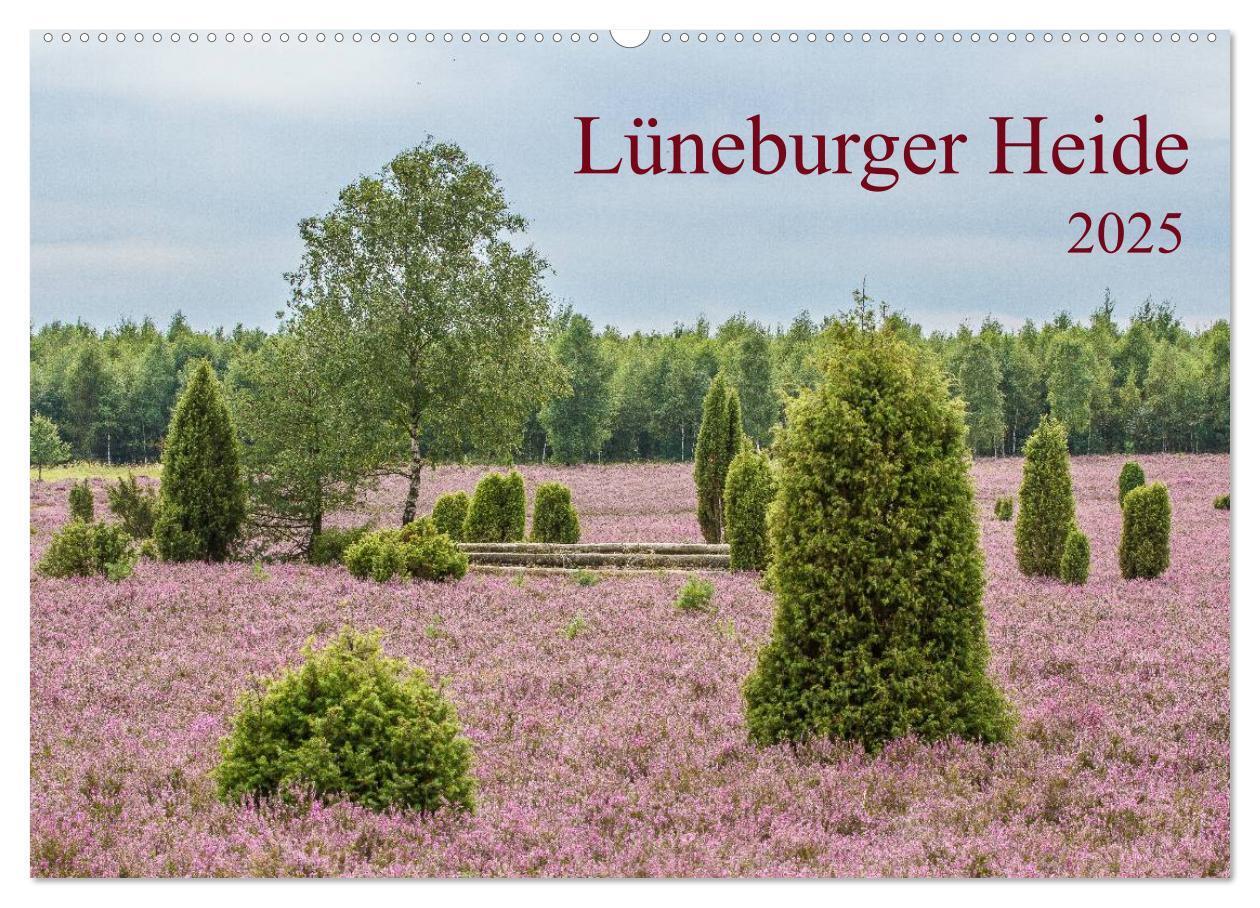 Cover: 9783435775040 | Lüneburger Heide (Wandkalender 2025 DIN A2 quer), CALVENDO...