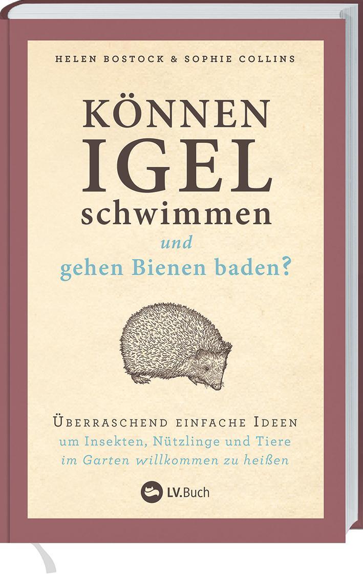 Cover: 9783784356488 | Können Igel schwimmen und gehen Bienen baden? | Helen Bostock (u. a.)