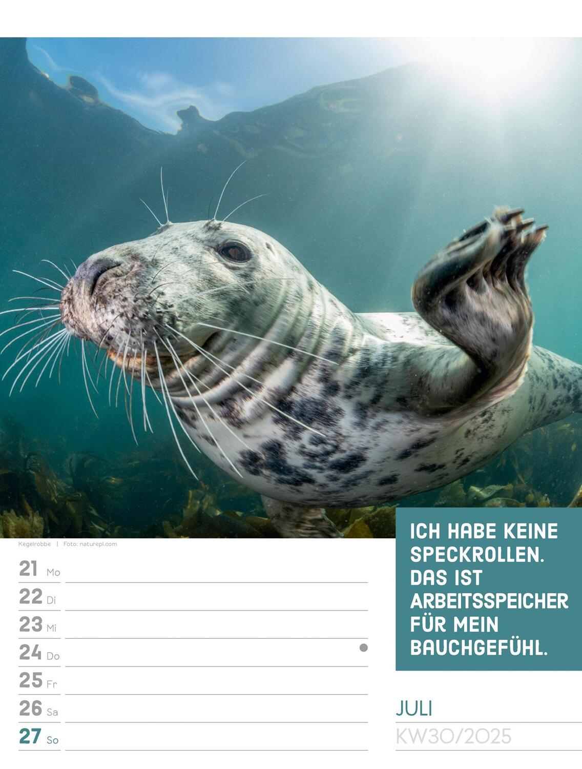 Bild: 9783838425962 | Tierisch! Sprüchekalender - Wochenplaner Kalender 2025 | Kunstverlag