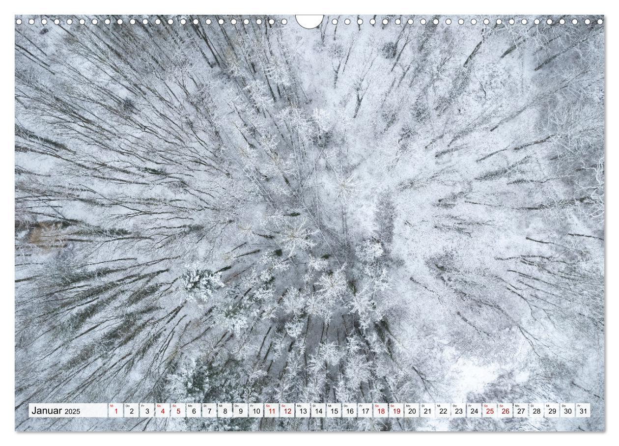 Bild: 9783383915314 | Traumhafte Wälder (Wandkalender 2025 DIN A3 quer), CALVENDO...