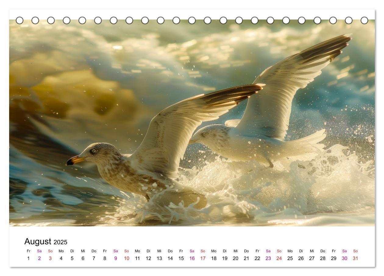 Bild: 9783457162484 | Maritim pur - Möwen (Tischkalender 2025 DIN A5 quer), CALVENDO...