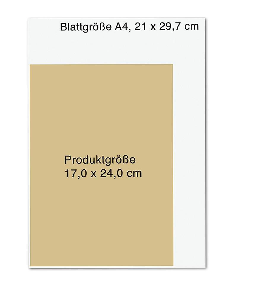 Bild: 9783426791097 | Gemeinsam werden wir kugelrund | Laila Maria Witt | Taschenbuch | 2020