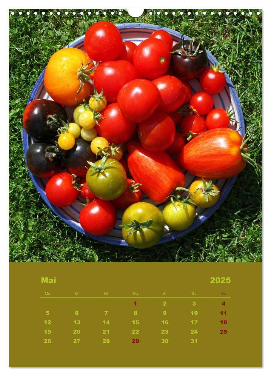 Bild: 9783457055458 | Tomaten - Alles BIO! (Wandkalender 2025 DIN A3 hoch), CALVENDO...