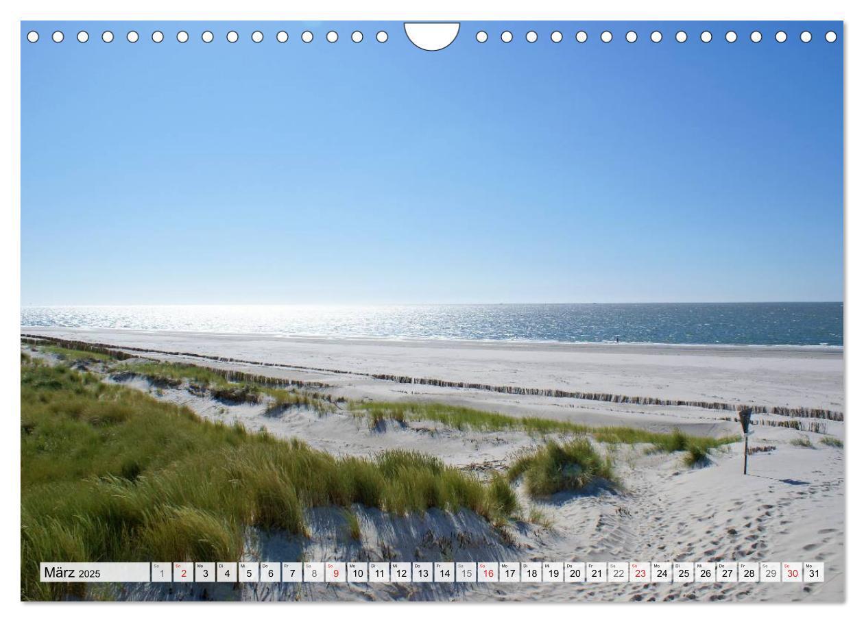 Bild: 9783435491285 | Amrum ¿ Trauminsel in der Nordsee (Wandkalender 2025 DIN A4 quer),...