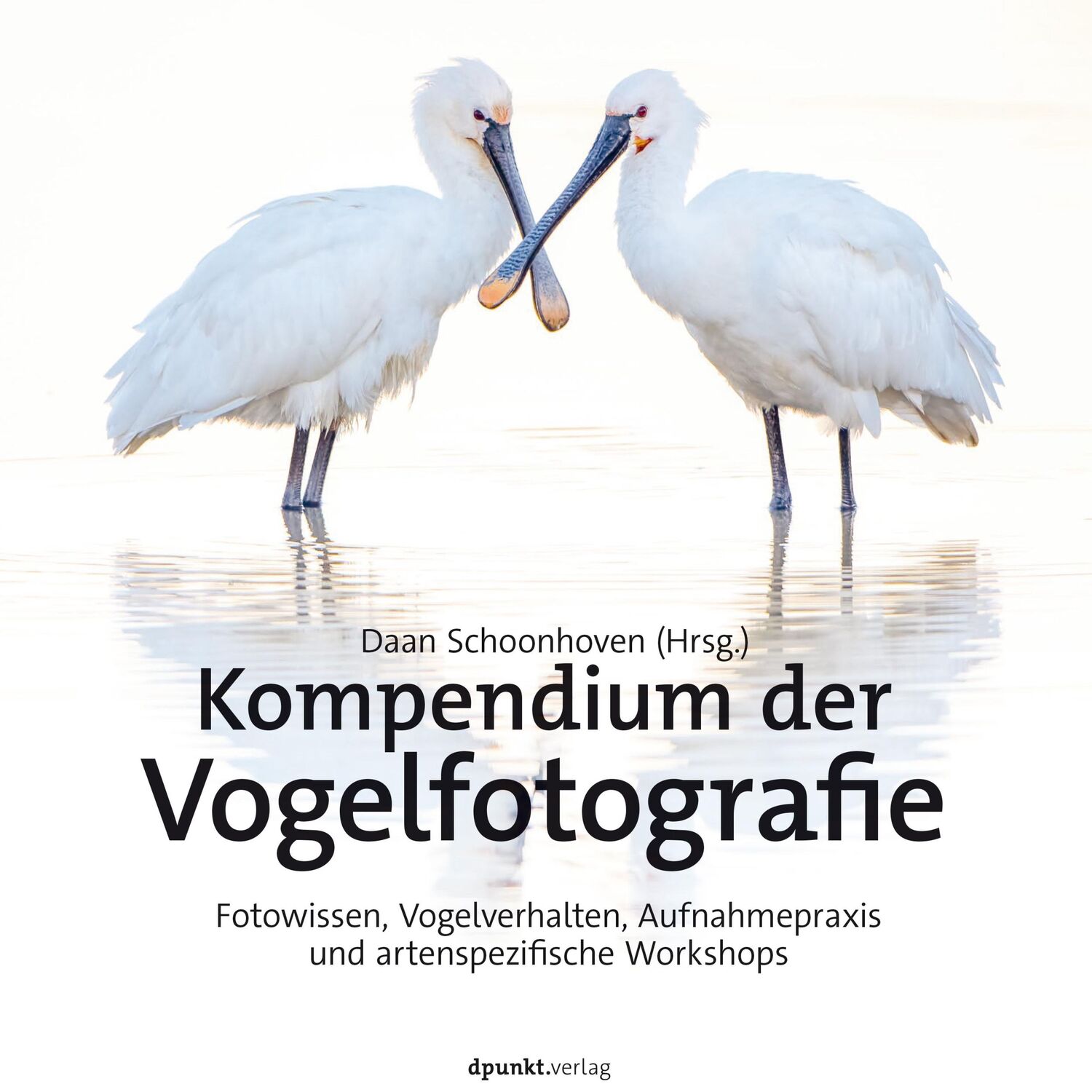 Cover: 9783864909245 | Kompendium der Vogelfotografie | Daan Schoonhoven | Buch | VIII | 2022