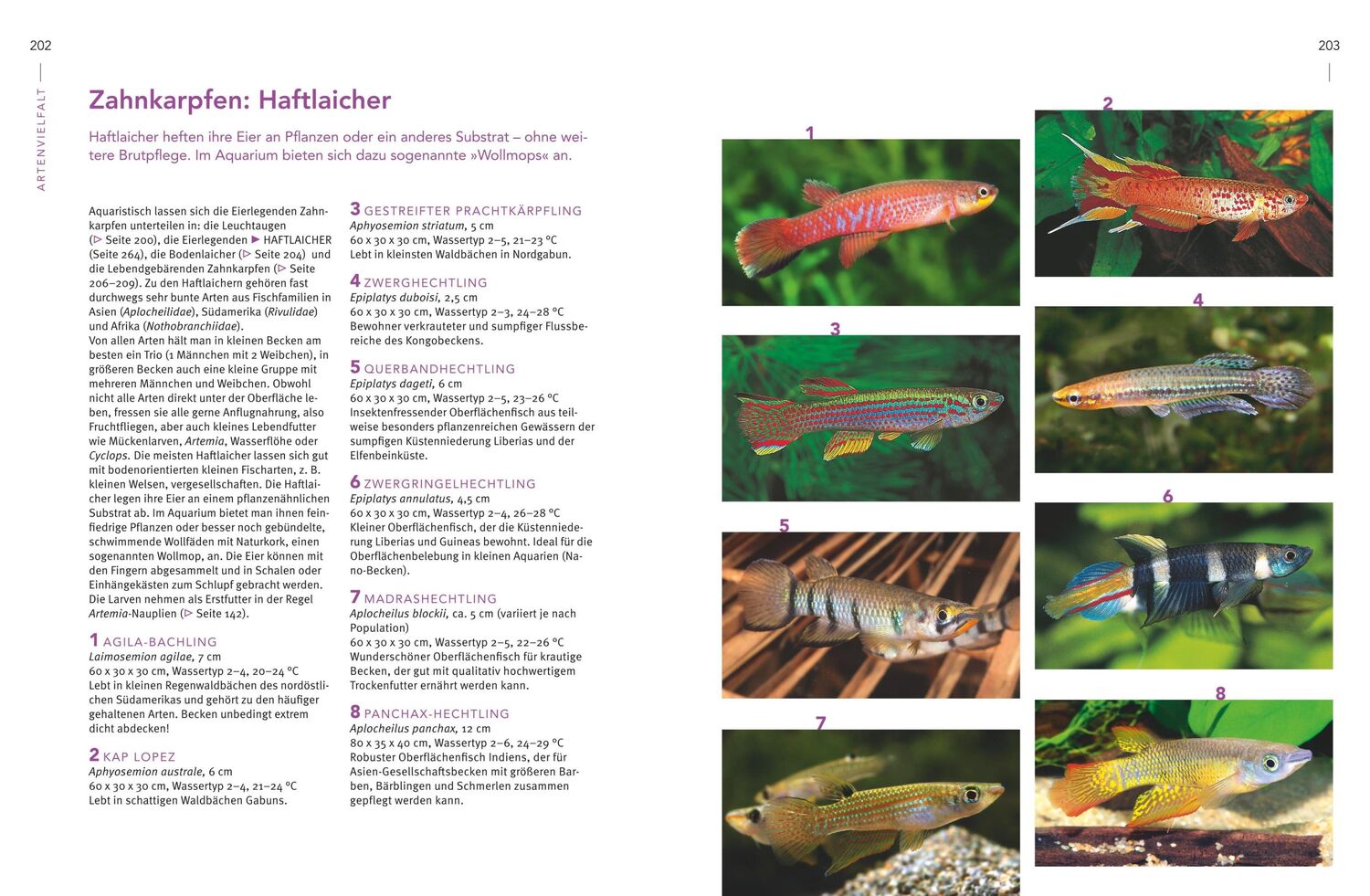 Bild: 9783833861390 | Praxishandbuch Aquarium | Ulrich Schliewen | Buch | 288 S. | Deutsch