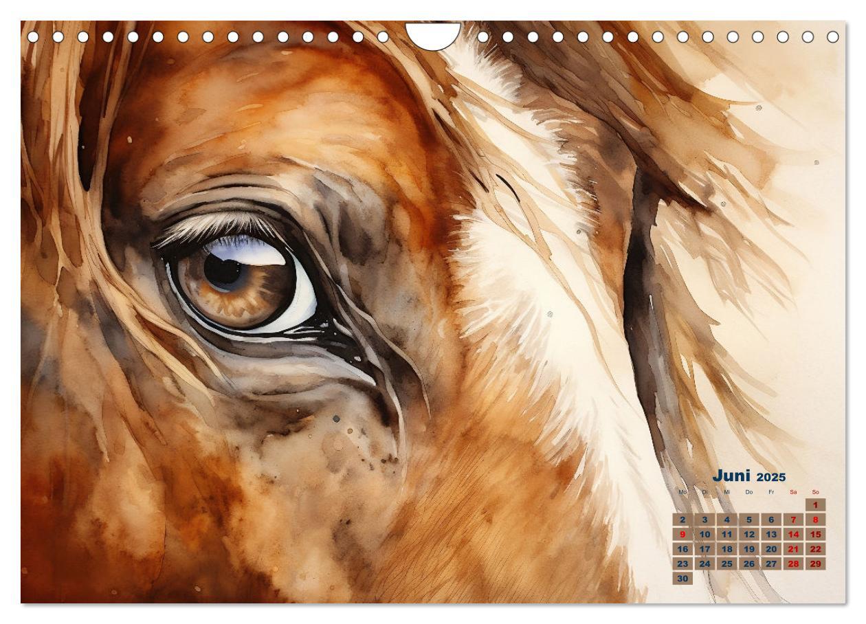 Bild: 9783435011780 | Kraftpakete in Aquarell (Wandkalender 2025 DIN A4 quer), CALVENDO...