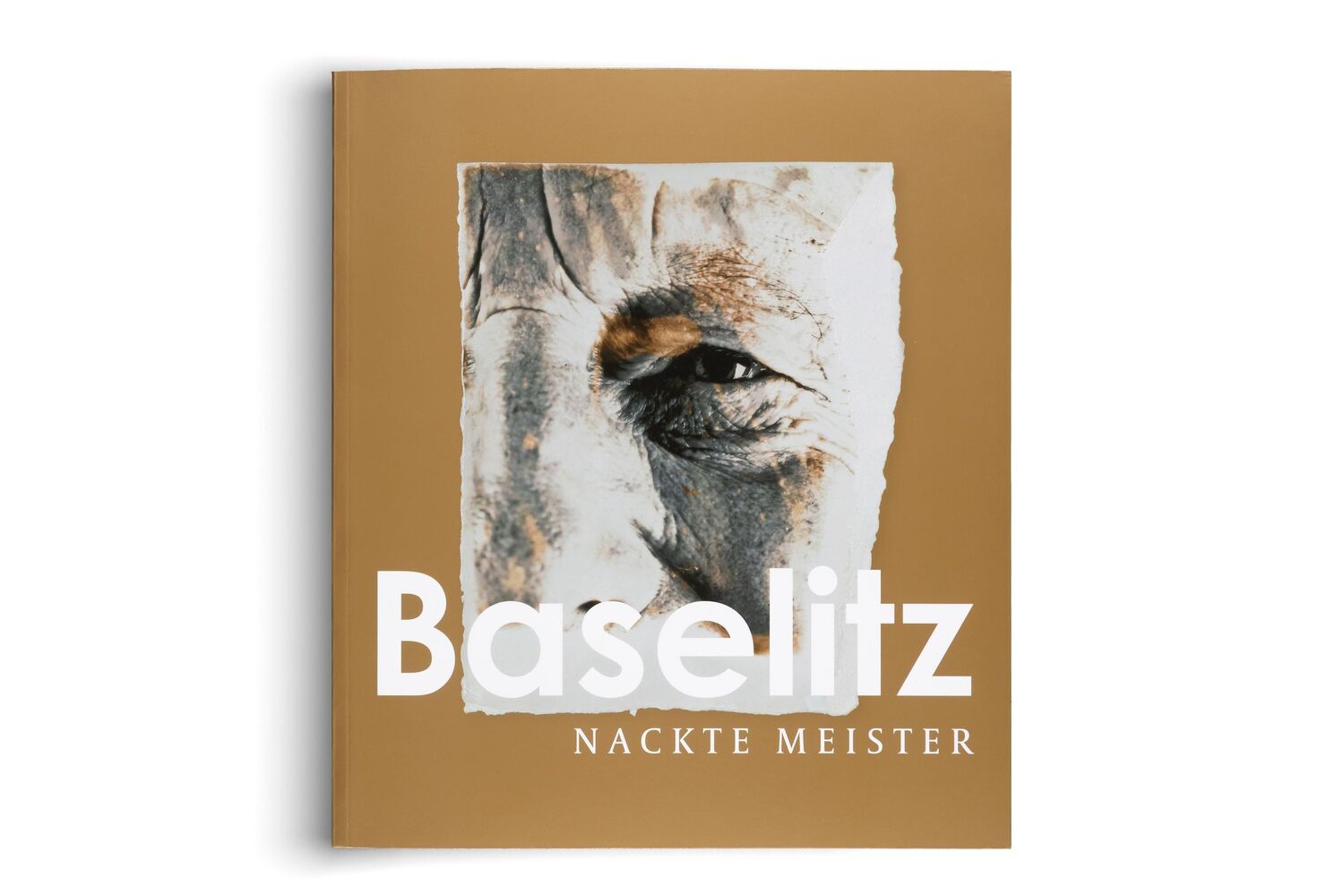 Bild: 9783775754101 | Georg Baselitz | Nackte Meister | Sabine Haag | Taschenbuch | 252 S.