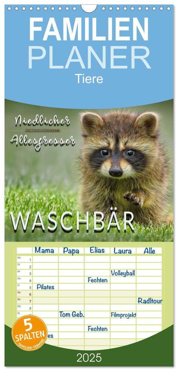 Cover: 9783457121931 | Familienplaner 2025 - Waschbär - Niedlicher Allesfresser mit 5...