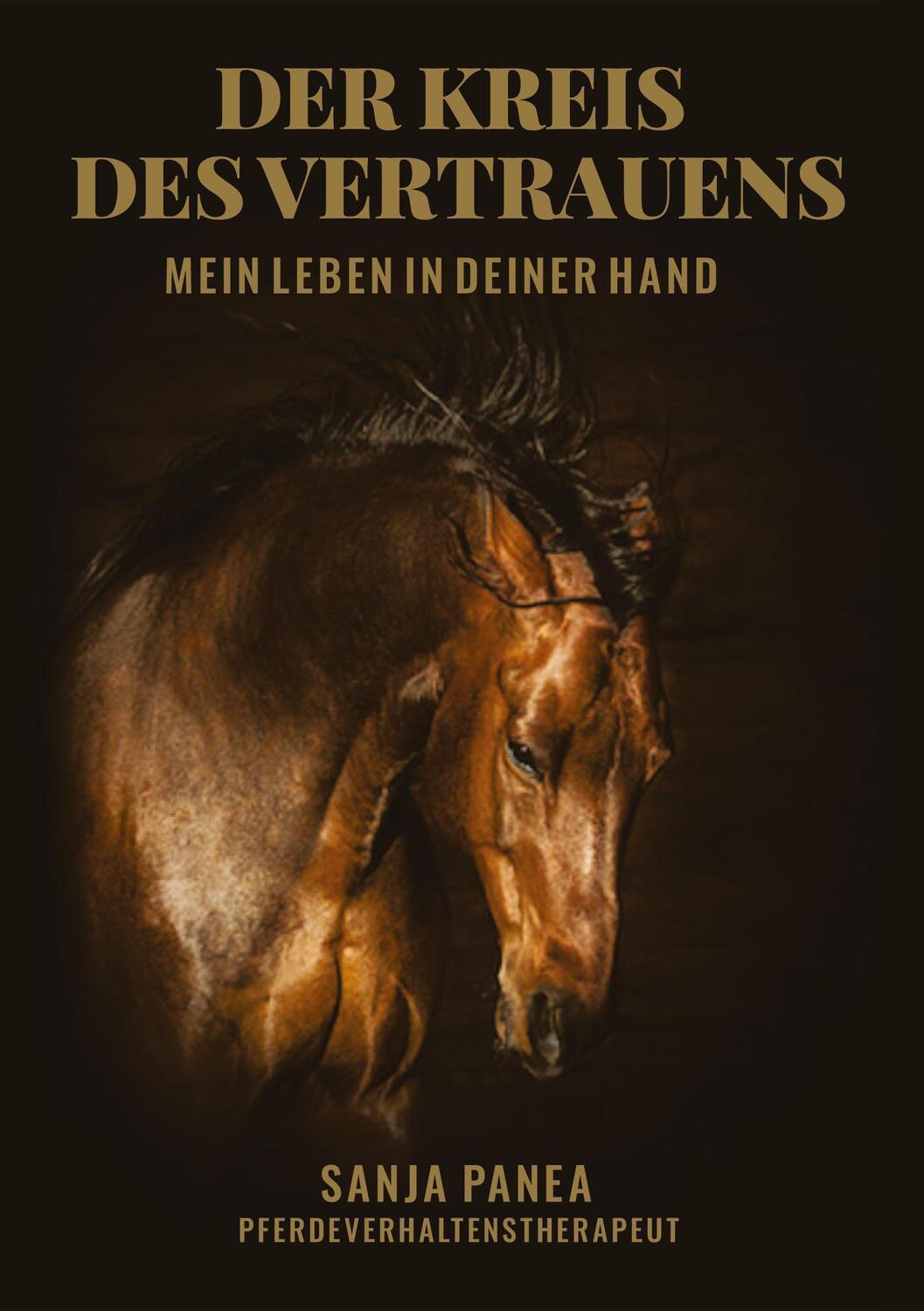 Cover: 9783347734821 | Der Kreis des Vertrauens | Mein Leben in Deiner Hand | Sanja Panea