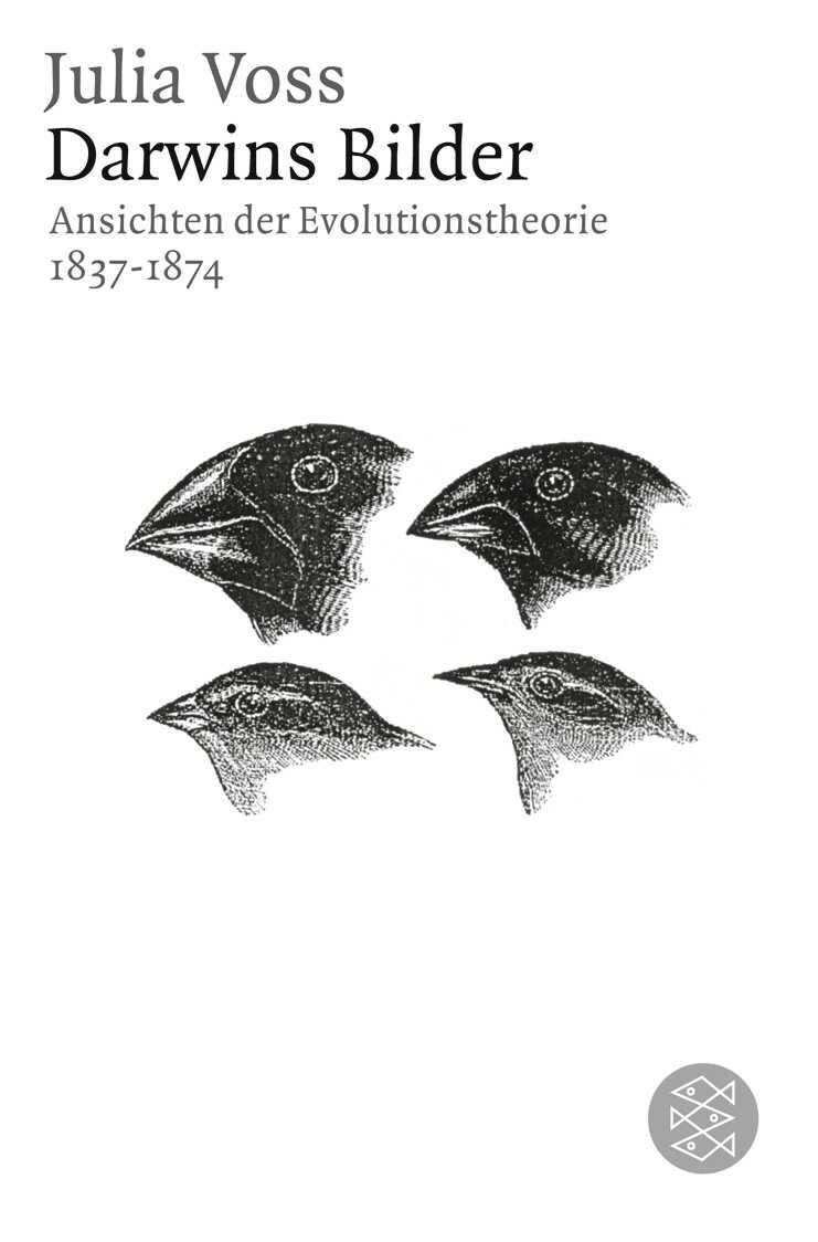 Cover: 9783596176274 | Darwins Bilder | Ansichten der Evolutionstheorie 1837-1874 | Voss