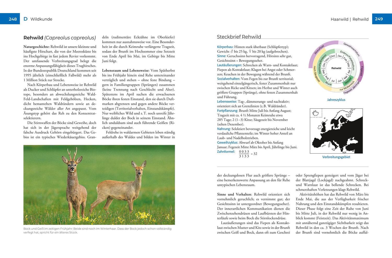 Bild: 9783967471519 | Vor und nach der Jägerprüfung | Herbert Krebs | Buch | BLV Jagdprüfung