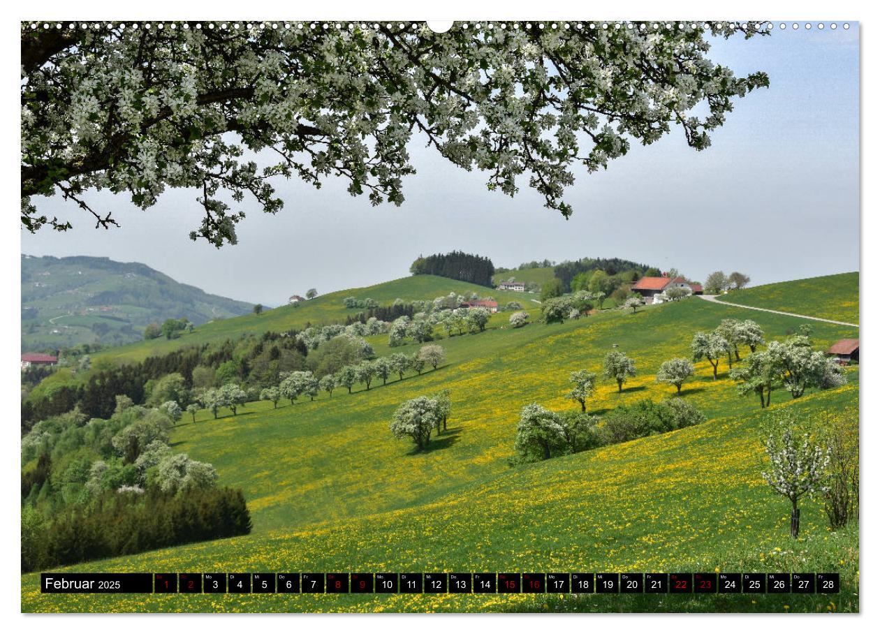 Bild: 9783435287697 | Frühling im Mostviertel (Wandkalender 2025 DIN A2 quer), CALVENDO...