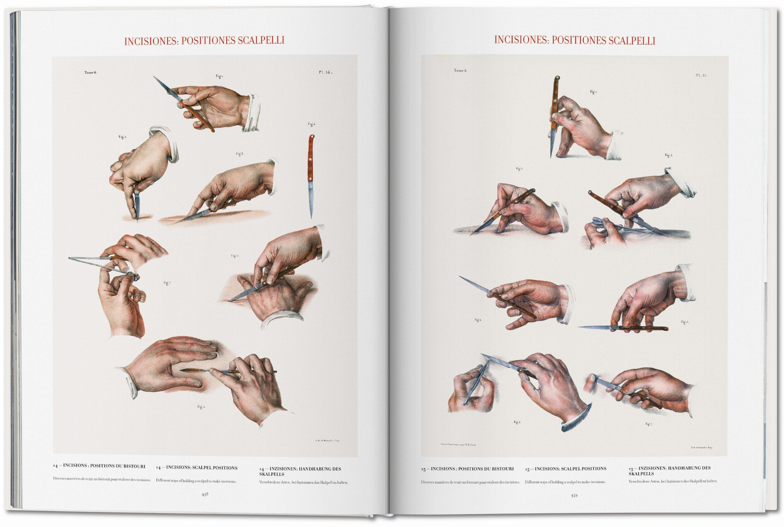 Bild: 9783836568982 | Bourgery. Atlas of Human Anatomy and Surgery | Minor (u. a.) | Buch