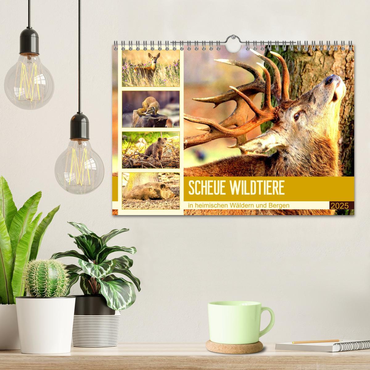 Bild: 9783435176588 | Scheue Wildtiere in heimischen Wäldern und Bergen (Wandkalender...