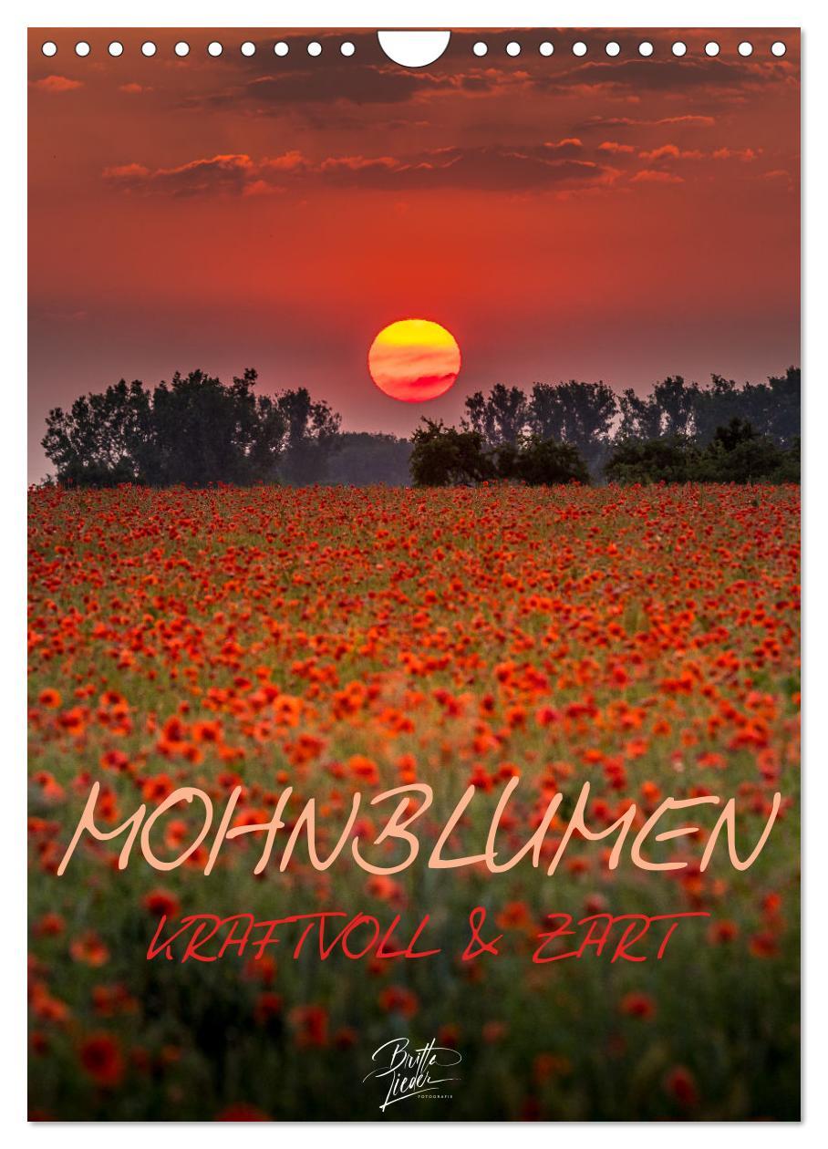 Cover: 9783435920525 | Mohnblumen - kraftvoll und zart (Wandkalender 2025 DIN A4 hoch),...