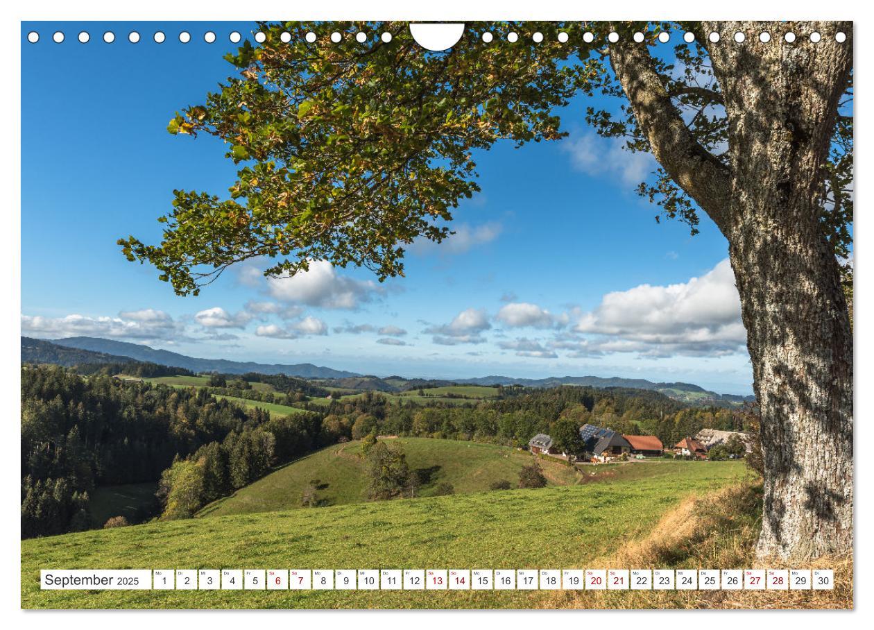 Bild: 9783435687831 | Schwarzwald (Wandkalender 2025 DIN A4 quer), CALVENDO Monatskalender