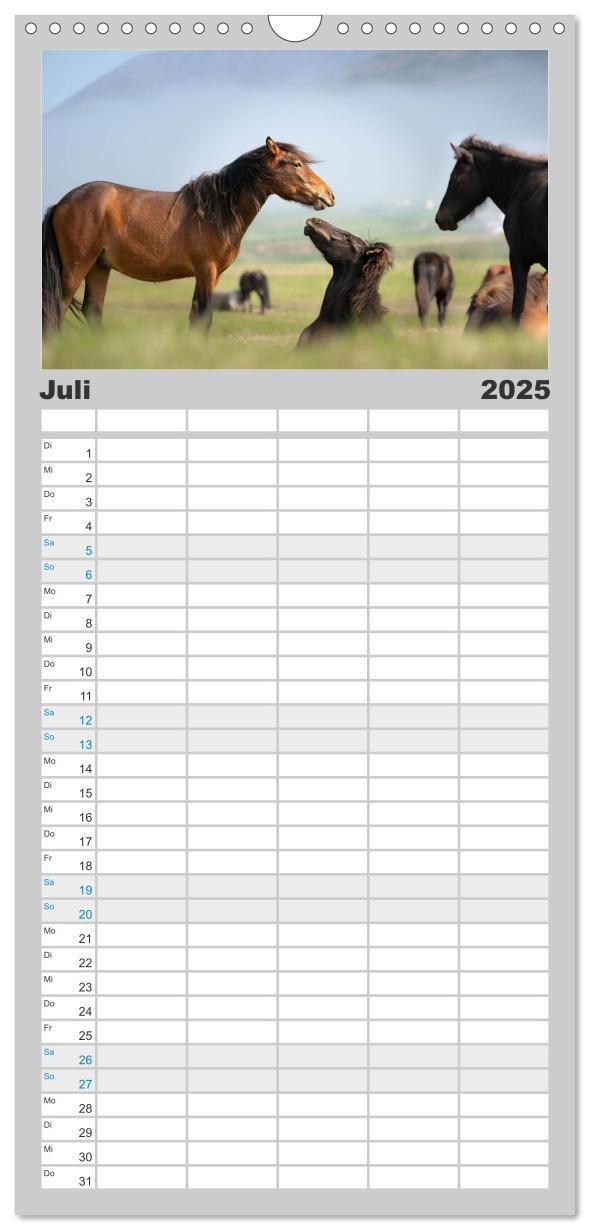 Bild: 9783457101568 | Familienplaner 2025 - Islandpferde Kalender - Pferde von der Insel...