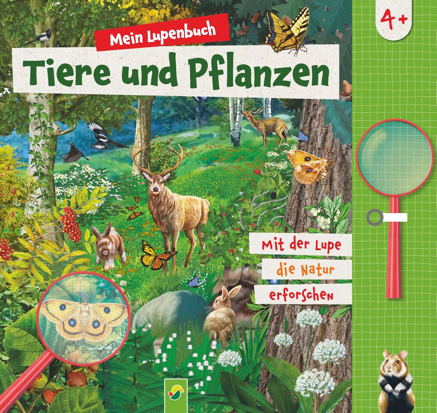 Cover: 9783849945671 | Mein Lupenbuch Tiere und Pflanzen | Sandra Noa (u. a.) | Buch | 20 S.