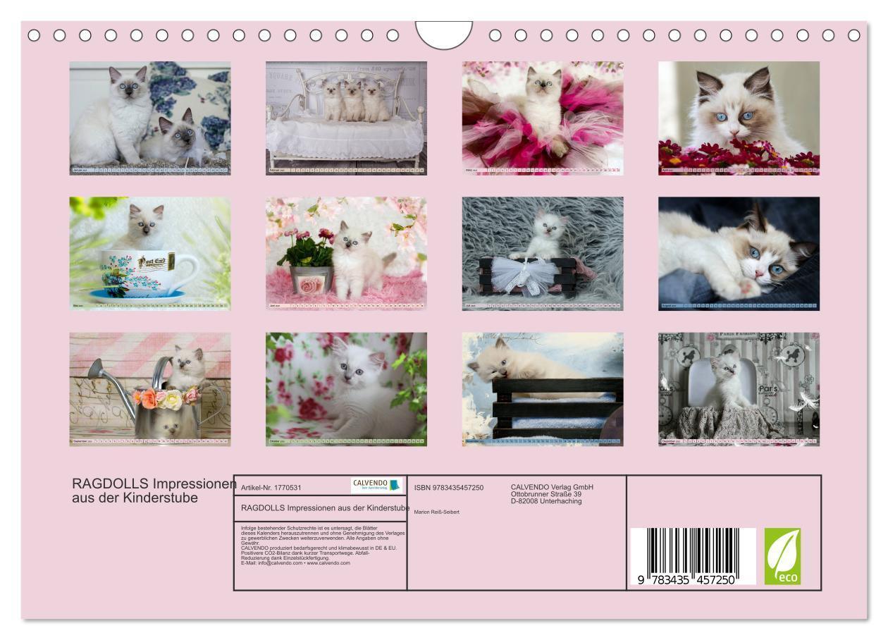 Bild: 9783435457250 | RAGDOLLS Impressionen aus der Kinderstube (Wandkalender 2025 DIN A4...