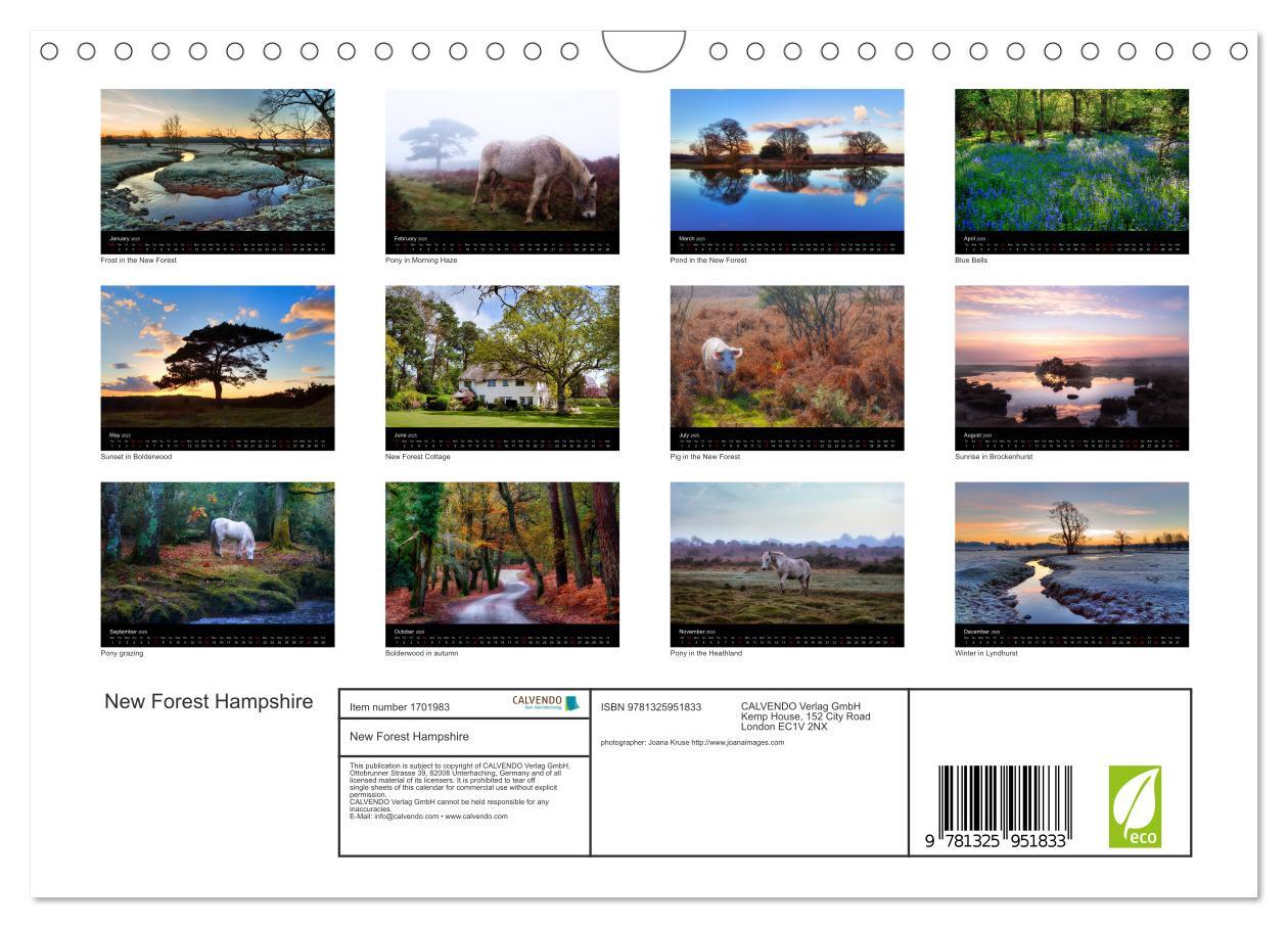 Bild: 9781325951833 | New Forest Hampshire (Wall Calendar 2025 DIN A4 landscape),...