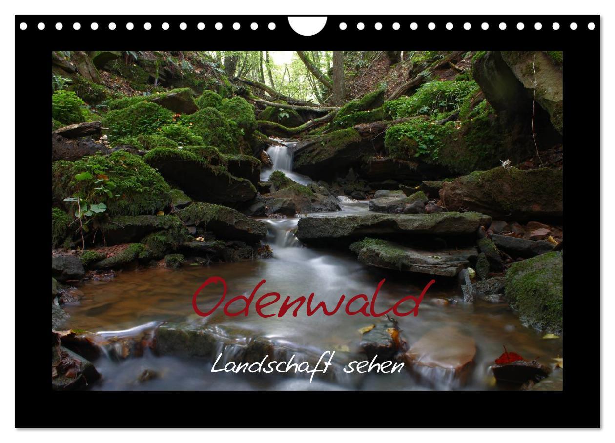 Cover: 9783435820610 | Odenwald - Landschaft sehen (Wandkalender 2025 DIN A4 quer),...