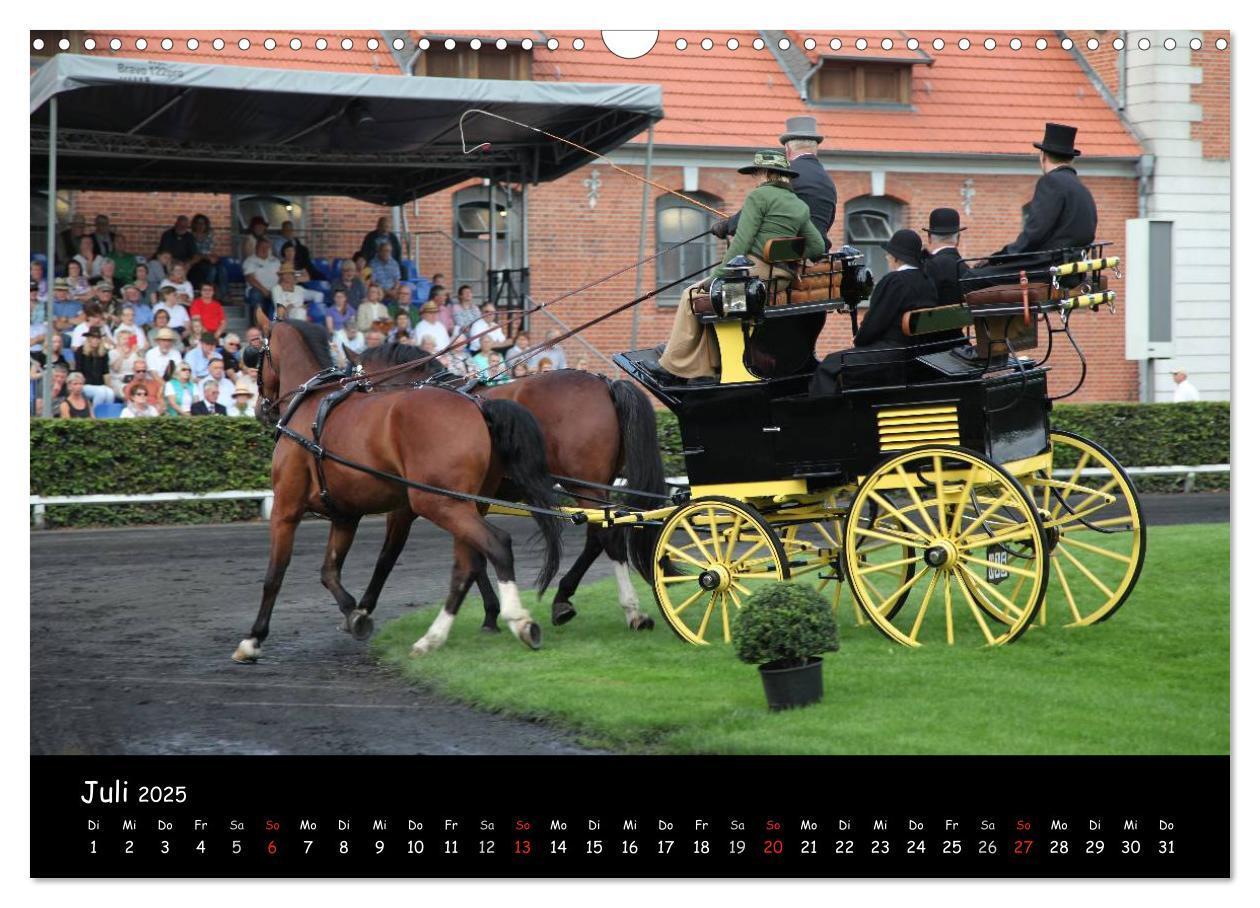 Bild: 9783435553457 | CIAT - Historischer Fahrsport in Celle (Wandkalender 2025 DIN A3...