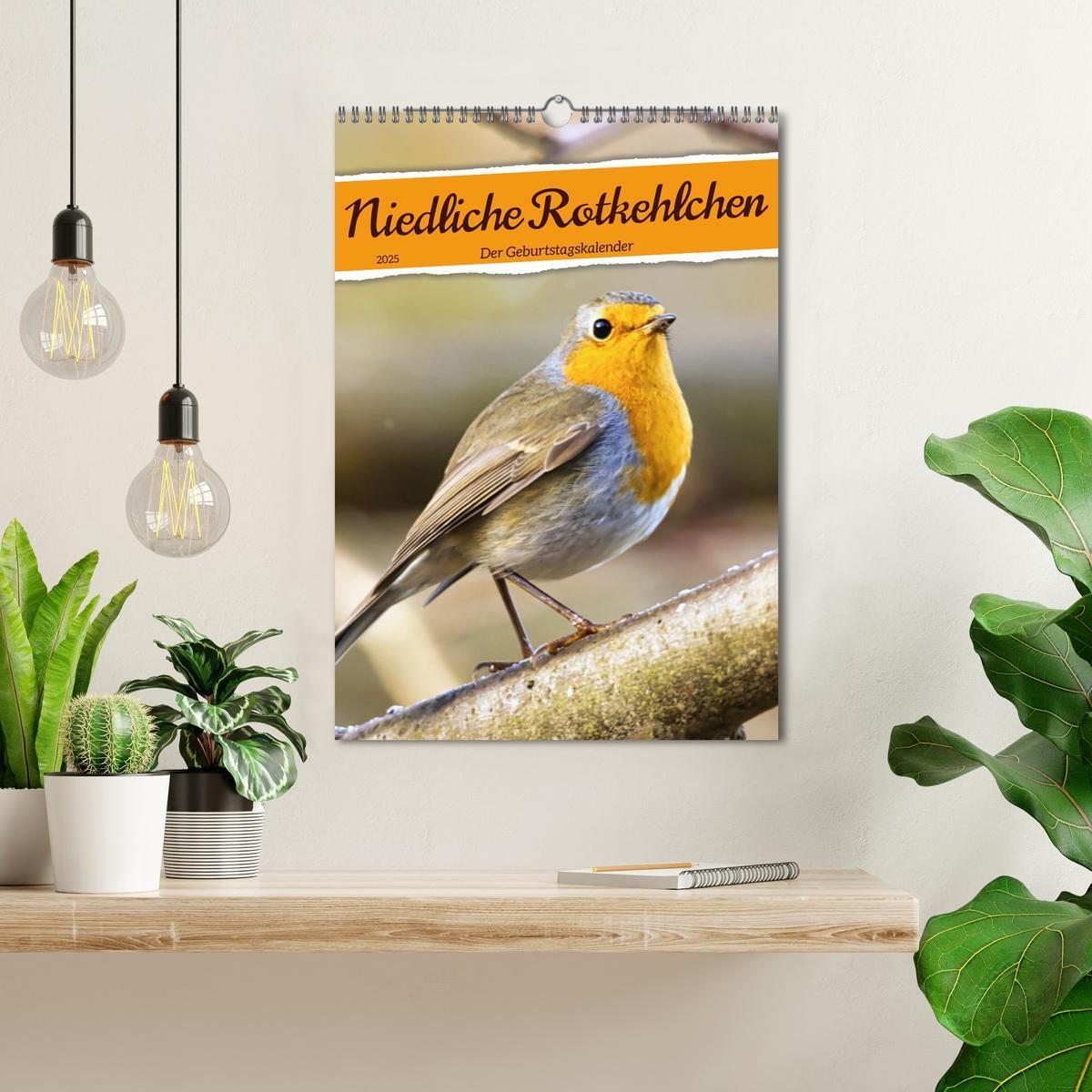 Bild: 9783435876945 | Niedliche Rotkehlchen (Wandkalender 2025 DIN A3 hoch), CALVENDO...