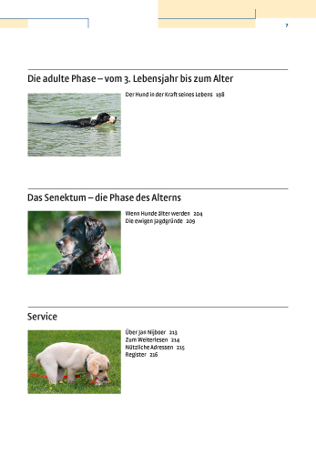 Bild: 9783440112342 | Vom Welpen zum Familienhund mit Natural Dogmanship | Jan Nijboer