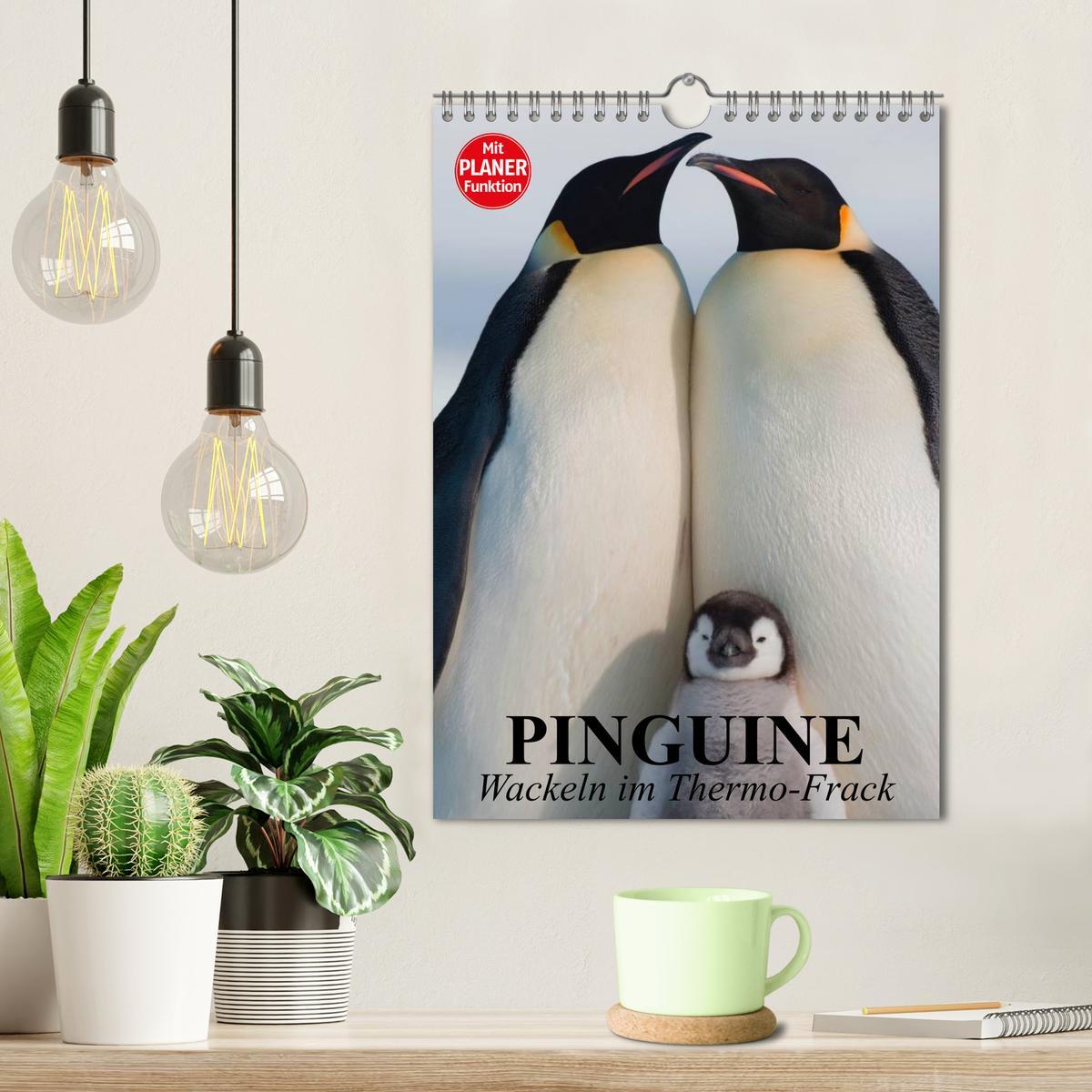 Bild: 9783457018637 | Pinguine. Wackeln im Thermo-Frack (Wandkalender 2025 DIN A4 hoch),...