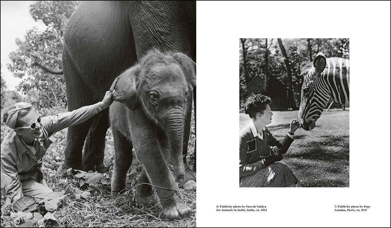 Bild: 9783777442624 | Ylla | The Birth of Modern Animal Photography | Pryor Dodge | Buch