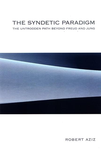 Cover: 9780791469828 | The Syndetic Paradigm | The Untrodden Path Beyond Freud and Jung