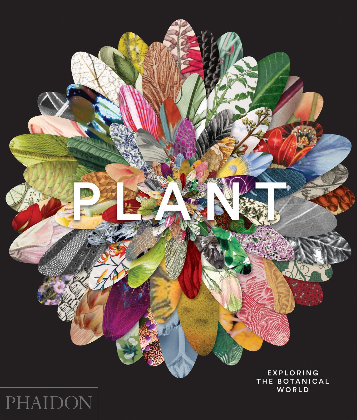 Cover: 9780714871486 | Plant: Exploring the Botanical World | Phaidon Editors | Buch | 352 S.