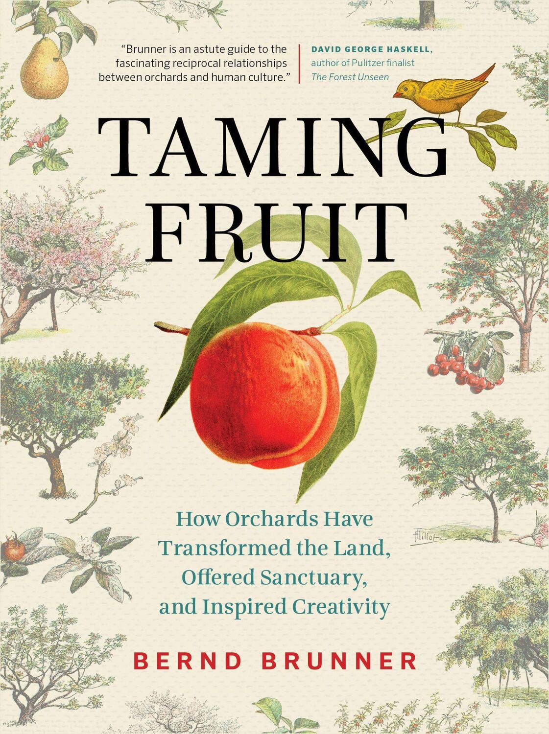 Cover: 9781771644075 | Taming Fruit | Bernd Brunner | Buch | Englisch | 2021