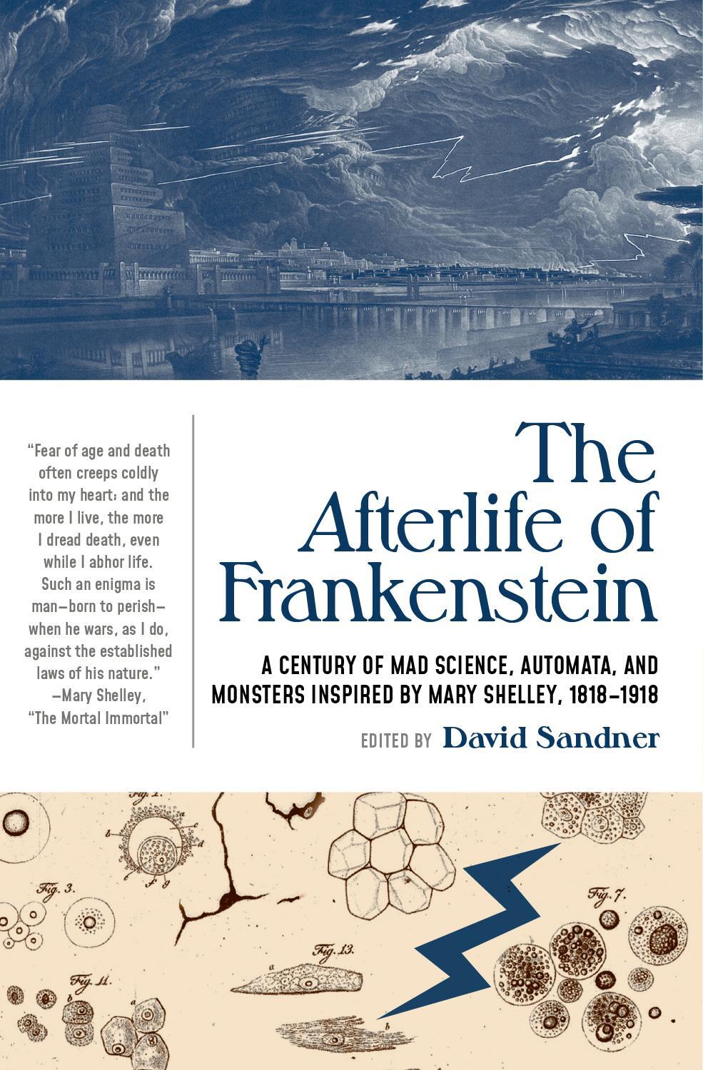 Cover: 9781941360798 | The Afterlife of Frankenstein | David Sandner | Taschenbuch | Englisch