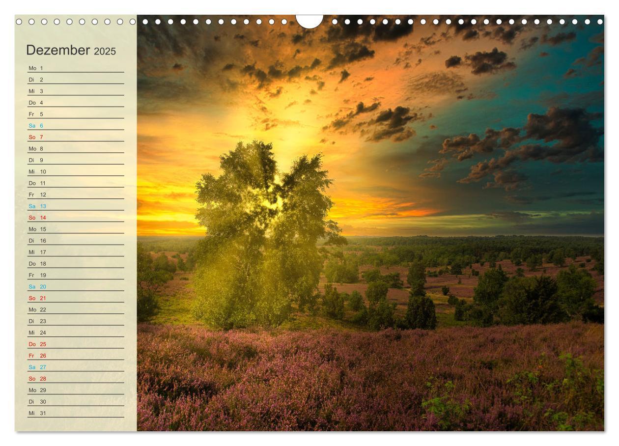 Bild: 9783435091645 | Die Heideblüte (Wandkalender 2025 DIN A3 quer), CALVENDO...