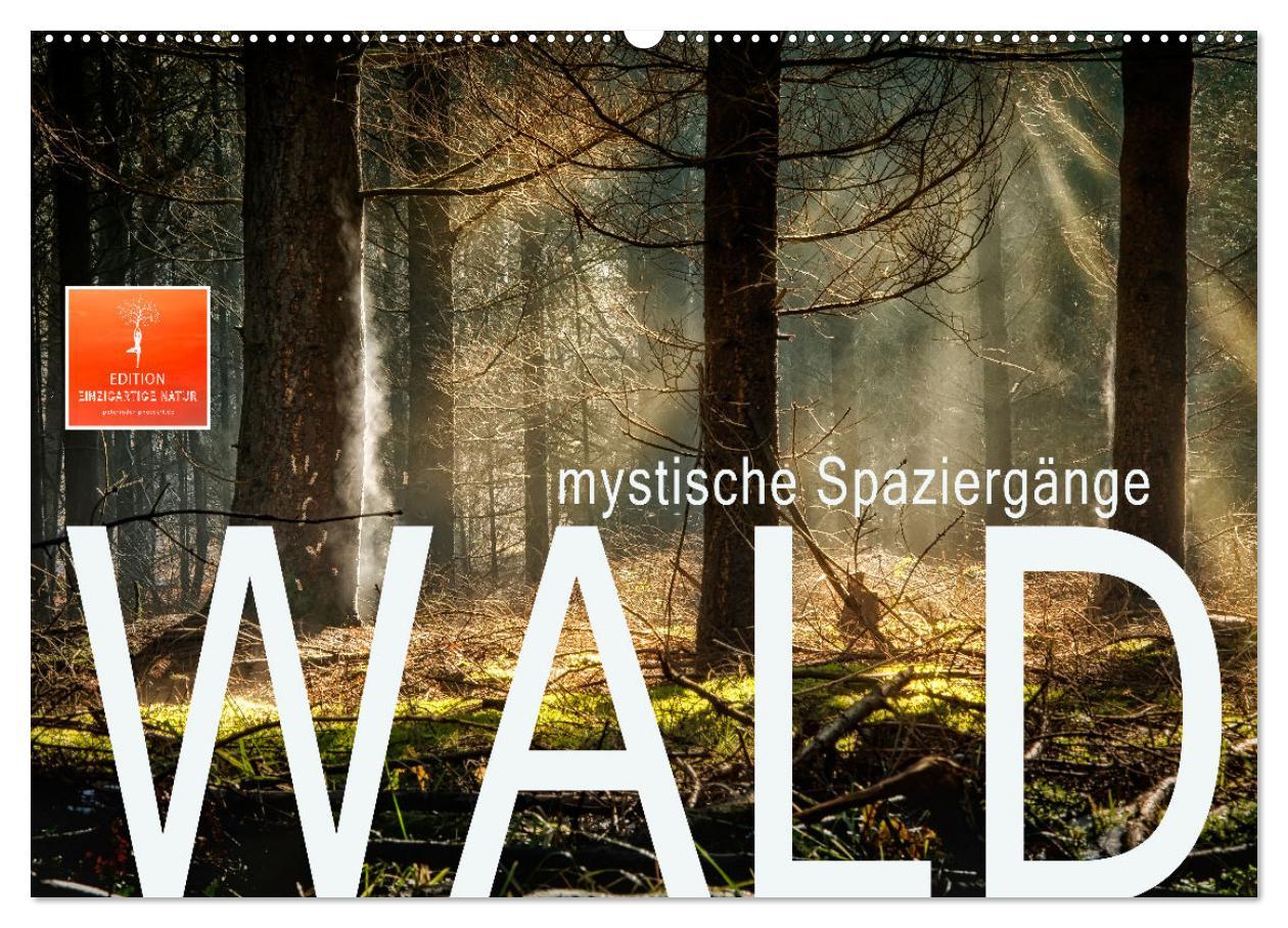 Cover: 9783435071173 | Wald - mystische Spaziergänge (Wandkalender 2025 DIN A2 quer),...