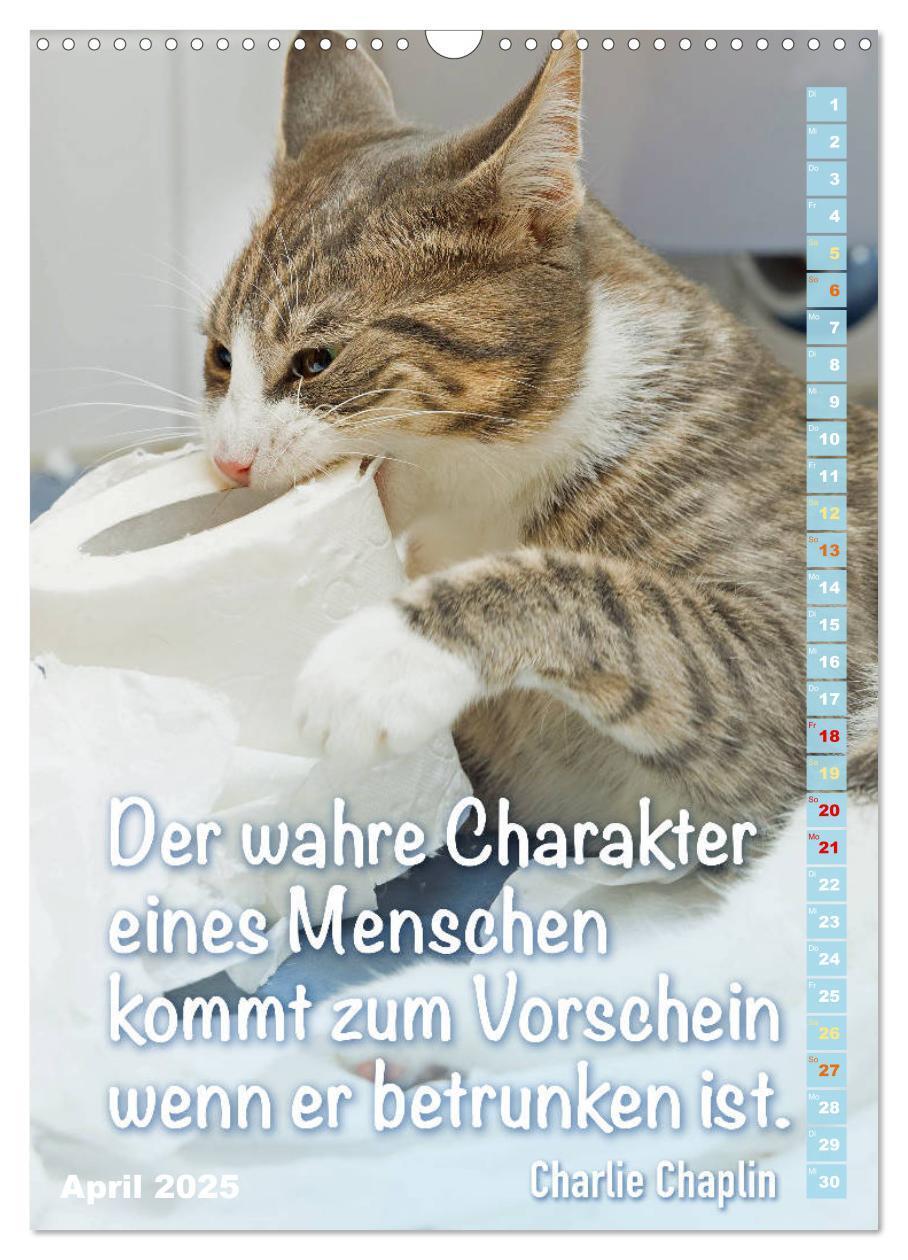 Bild: 9783435940172 | Der literarische Katerkalender (Wandkalender 2025 DIN A3 hoch),...