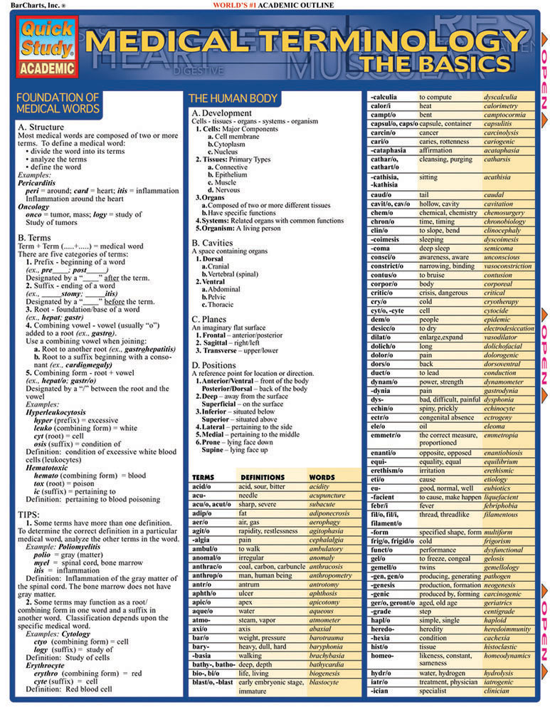 Cover: 9781572225381 | Medical Terminology:The Basics | Corinne Linton | Broschüre | Pamphlet