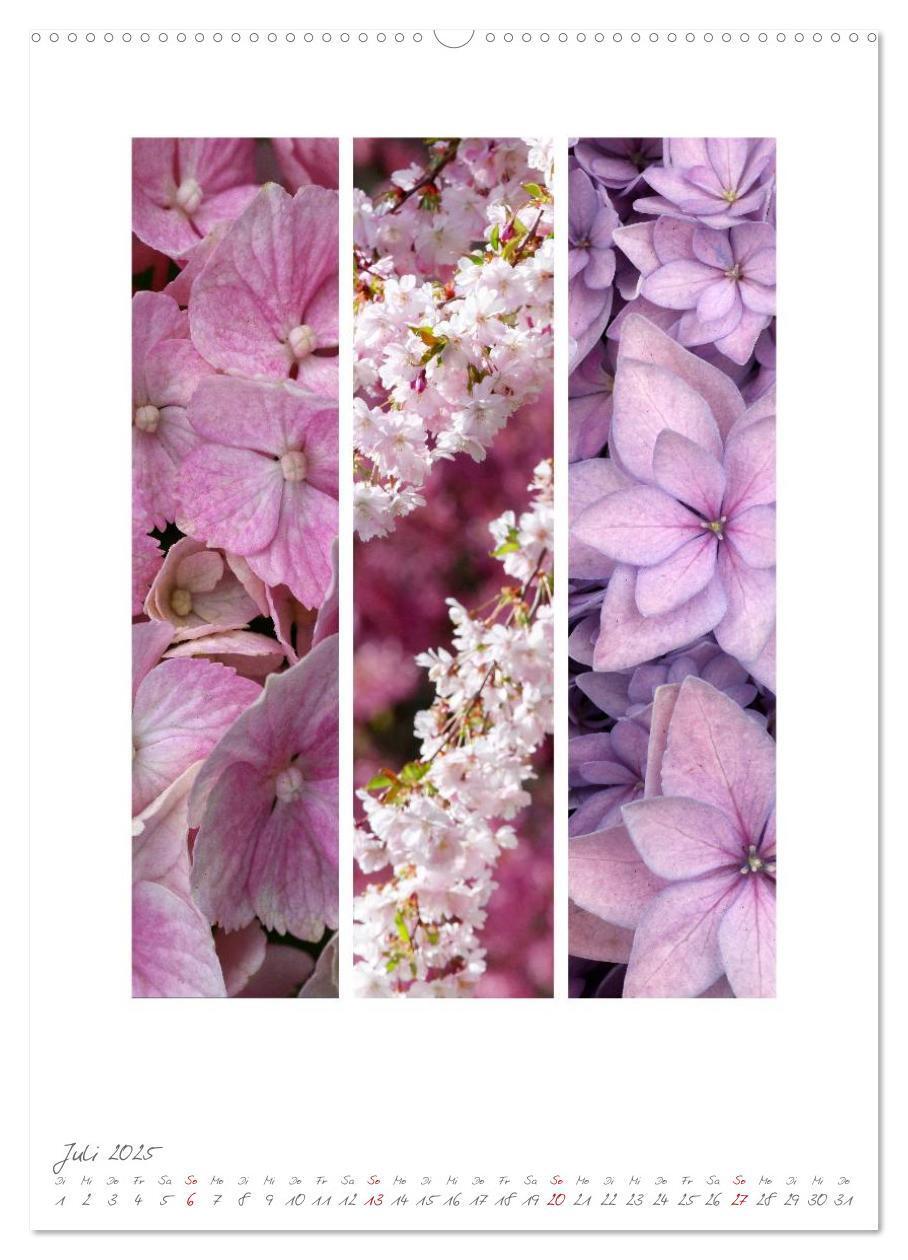 Bild: 9783457022641 | Natur Farben Dreiklang (hochwertiger Premium Wandkalender 2025 DIN...