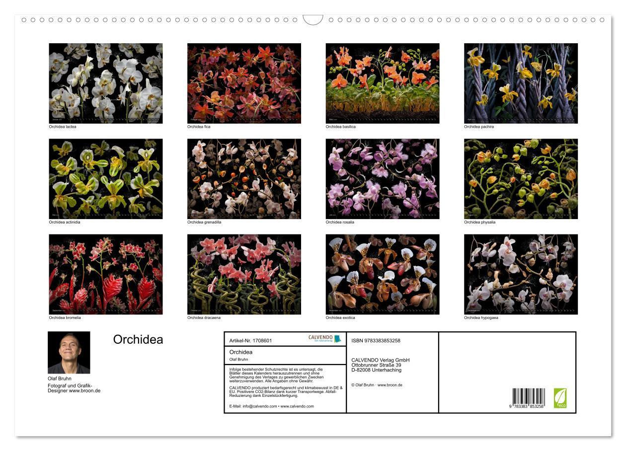 Bild: 9783383853258 | Orchidea (Wandkalender 2025 DIN A2 quer), CALVENDO Monatskalender